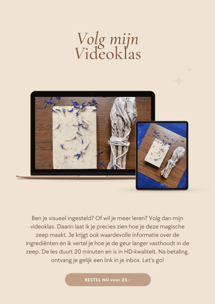 Saliezeep - volg mijn videoklas